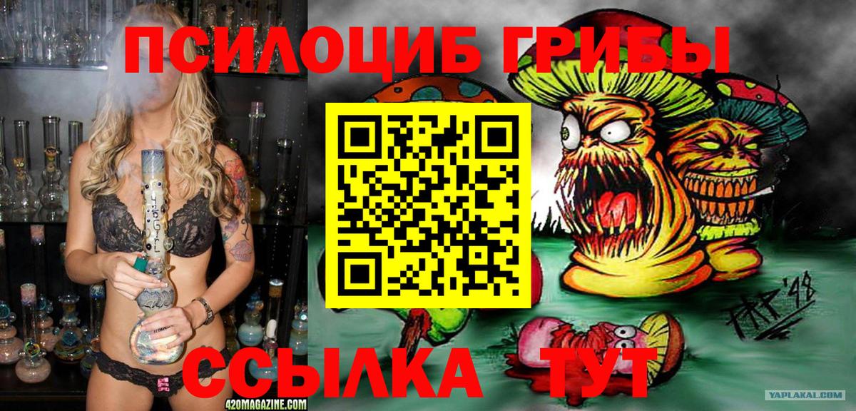 Псилоцибиновые грибы Psilocybine cubensis Ефремов