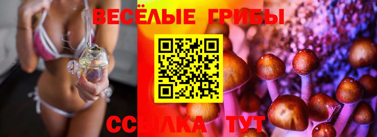 Ефремов  Псилоцибиновые грибы мицелий  Вход с VPN  где купить наркоту  Галлюциногенные грибы мицелий 
